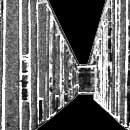 ARCHIVAL LIBRARY