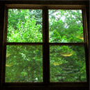 CHILDREN'S ARTS CAMP